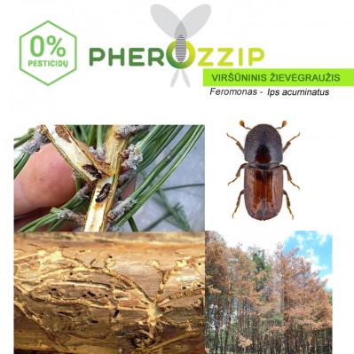 Feromonas VIRŠŪNINIUI ŽIEVĖGRAUŽIUI (Ips acuminatus) Pherozzip, 1 vnt